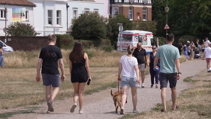Wimbledon: The Key Election Battleground in London 🗳️