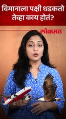 विमानाला पक्षी धडकतो तेव्हा काय होतं
