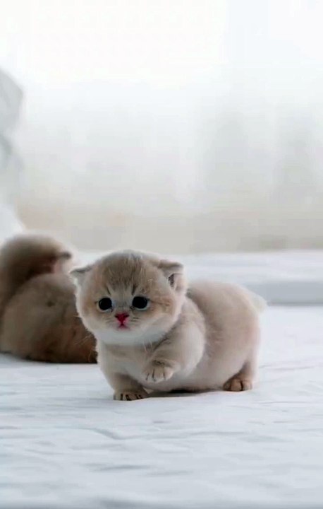 So cutie