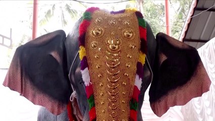 800 Kilogram Robotic Elephant Introduced in Bid to Prevent Animal Cruelty