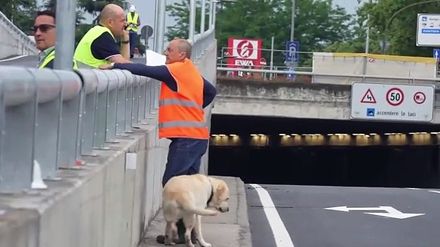 Verona, riaperto il sottopasso in via Città di Nimes dopo un cantiere di 14 mesi