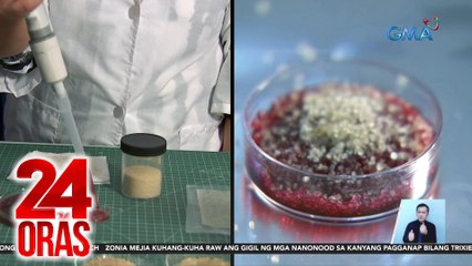 Local at mas murang hemostat tech vs. pagdurugo, dinevelop with nuke research ng DOST-PNRI | 24 Oras