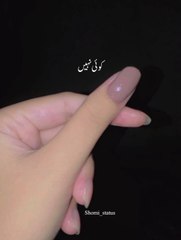 Koi nahin tere siwa mera yahan || shomi status