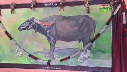 अन् शेतकऱ्याने म्हशीची आठवण म्हणून ४५ हजाराची फ्रेम बनवली