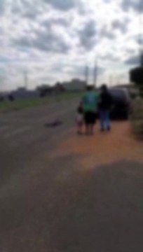Atropelamento de cachorro na antiga Estrada da Noite gera revolta entre moradores