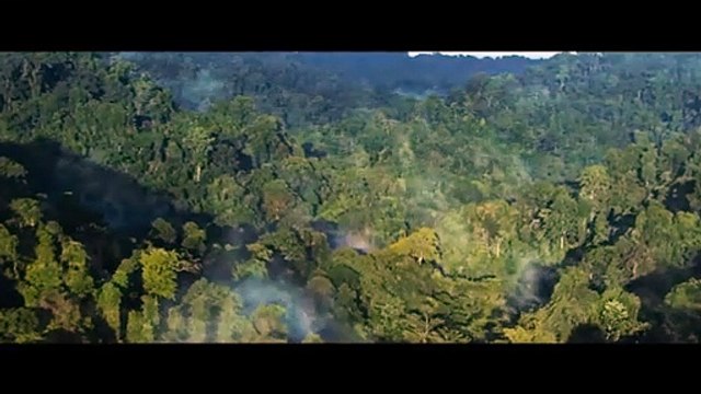 Tarzan (2025) - First Trailer Dwayne Johnson, Megan Fox