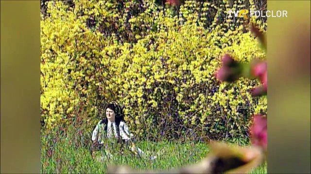 Veta Biris - Oi canta cu drag in lume (Tezaur folcloric - arhiva TVR)