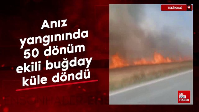Tekirdağ'da anız yangınında 50 dönüm ekili buğday küle döndü
