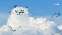 Um Himmels Willen: 11 lustige Tiermotive in den Wolken