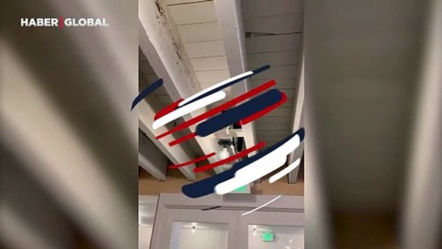 Örümcek adama özenen kediden alkışlanacak performans: Ağızları açık bıraktı