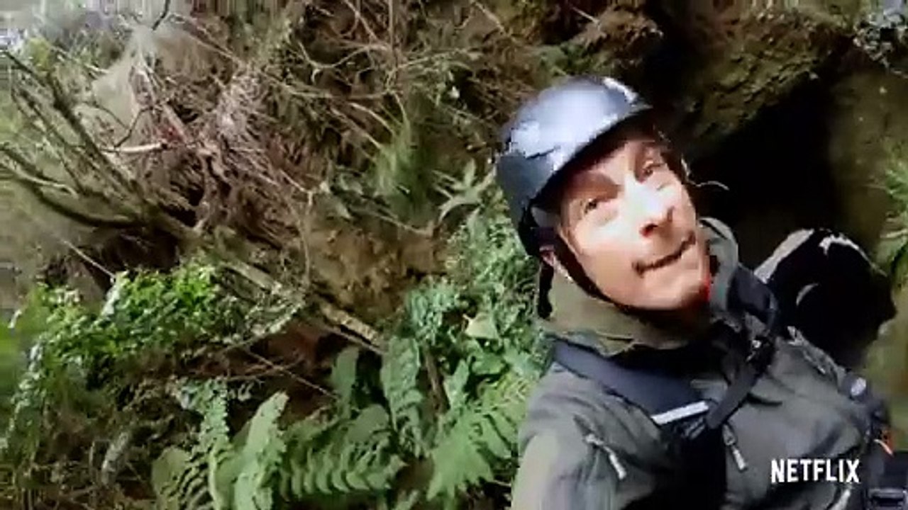 Bear_s WILDest Moments -- Animals on the Loose_ A You vs Wild Movie _ Netflix After School(360P)