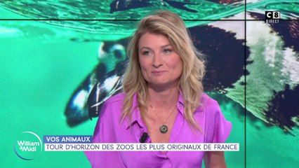Vos animaux : tour d'horizon des zoos les plus originaux de France !
