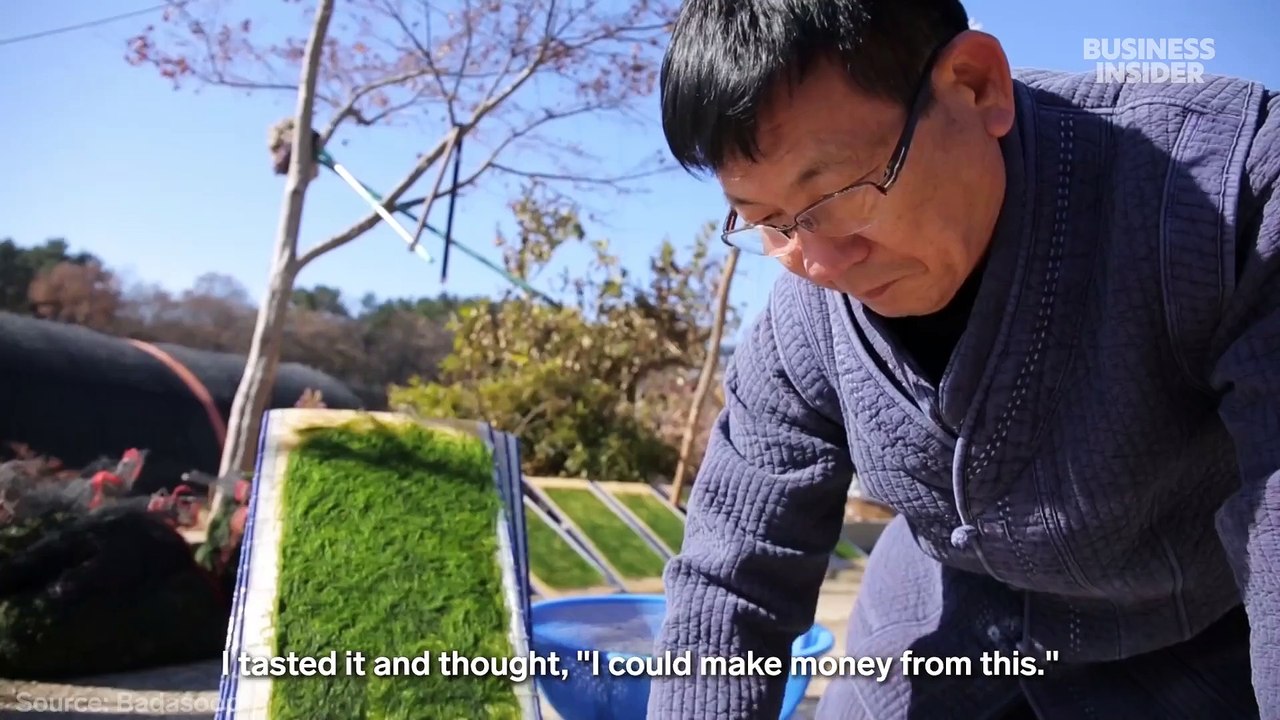 How Korea's gamtae seaweed won over Michelin-starred chefs around the world