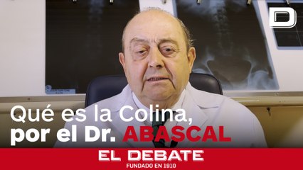 Qué es la Colina y por qué es importante tenerla presente en nuestra dieta