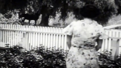 The Laramie Kid    Western (1935)     Tom Tyler