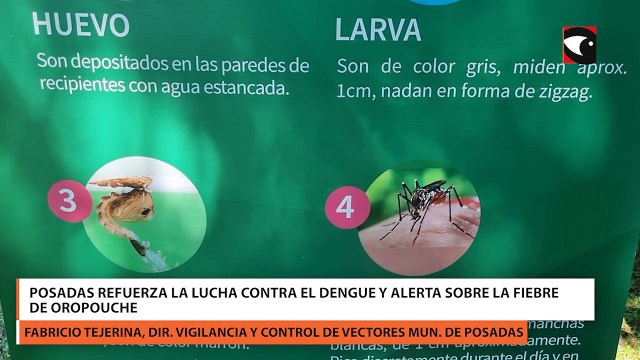 Posadas refuerza la lucha contra el dengue y alerta sobre la fiebre de Oropouche