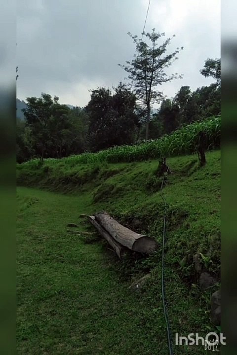 VID-20240623-WA0015