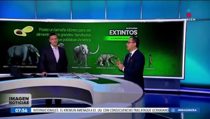 La historia del aguacate, el oro verde de México