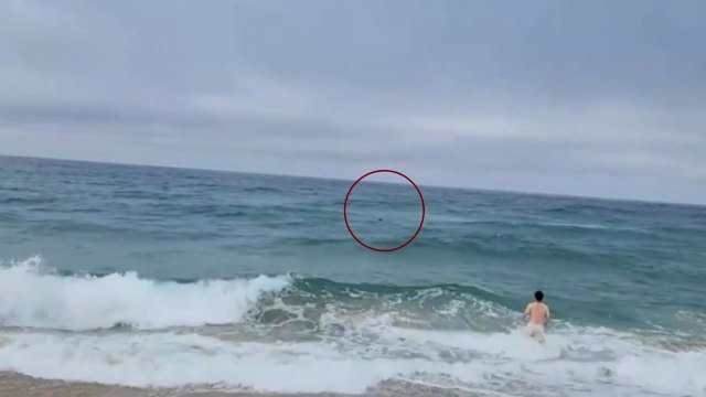 너울성 파도에 휩쓸린 20대...휴가 중이던 해경이 구조 / YTN