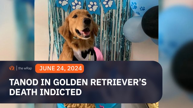 Prosecutors indict tanod who ‘killed’ golden retriever Killua