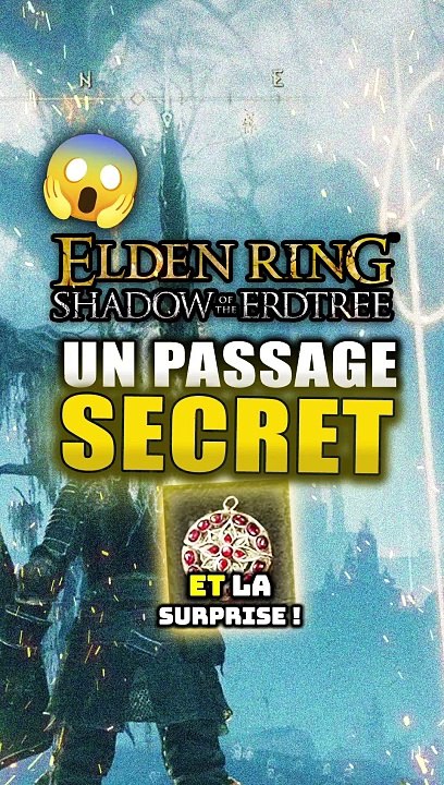 Un passage SECRET dans Elden Ring 