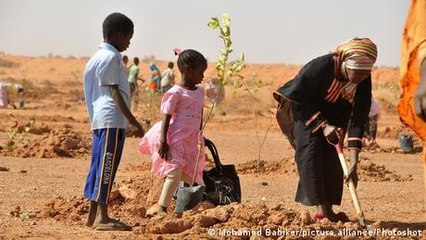 Africa's Great Green Wall initiative struggles to halt desertification