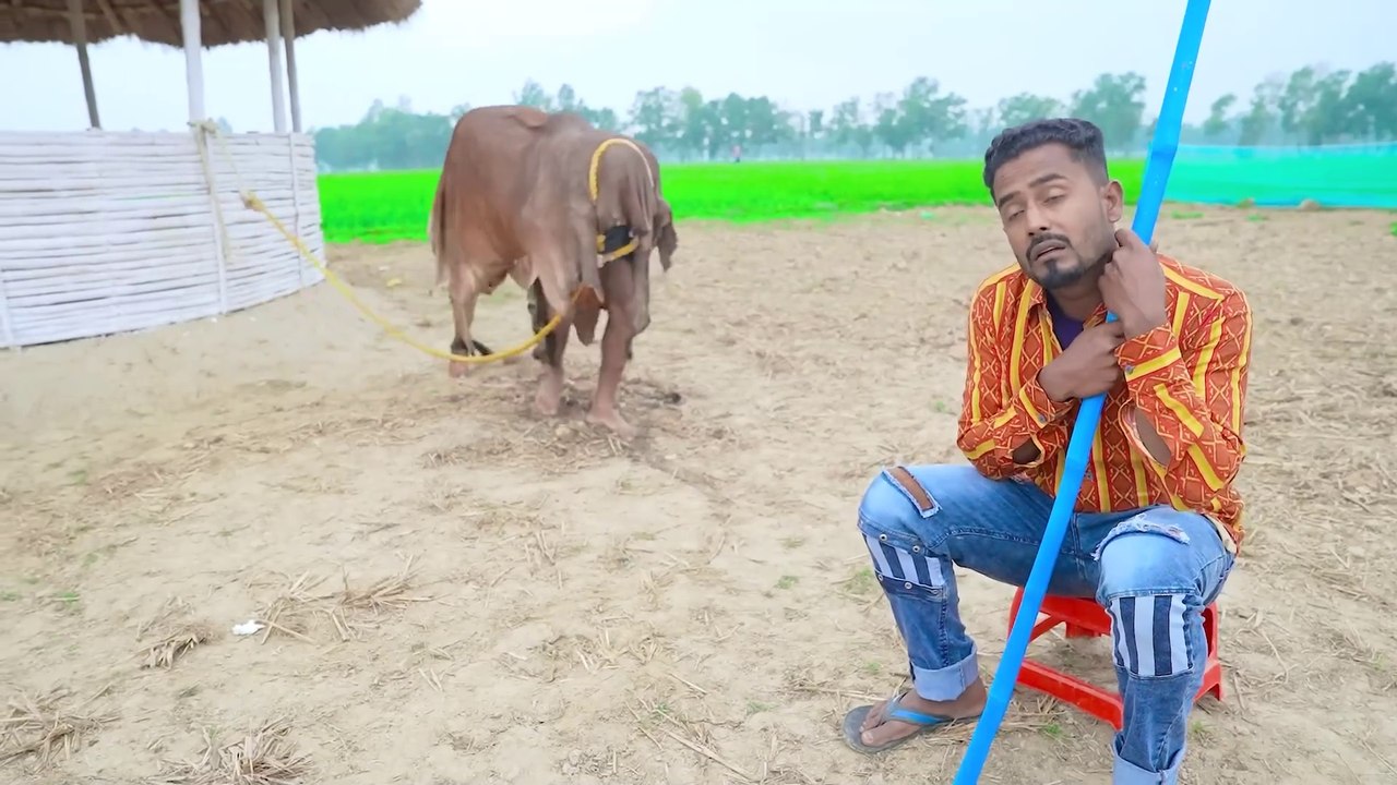 Must_Watch_New_Special_Comedy_Video_2024_Totally_Amazing_Comedy_Episode_261_by_Busy_fun_ltd(1080p50)
