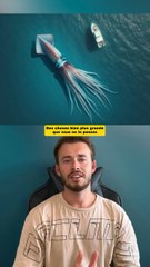 Des choses plus grande que vous ne le pensez