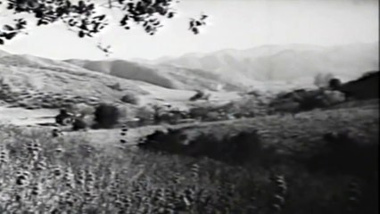 Fast Bullets   Western (1936)     Tom Tyler