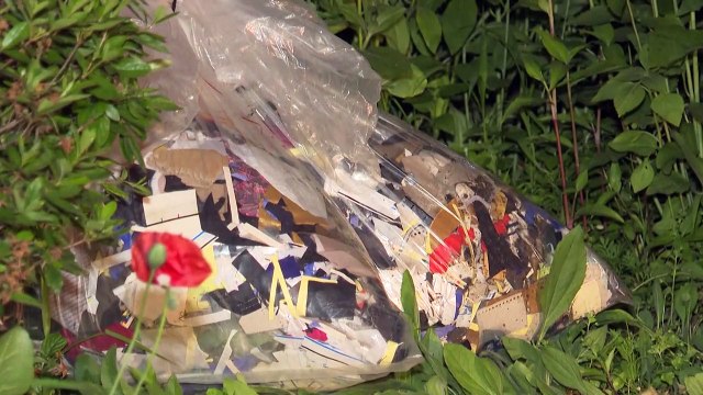 Balões de lixo enviados da Coreia do Norte continham parasitas de excrementos humanos