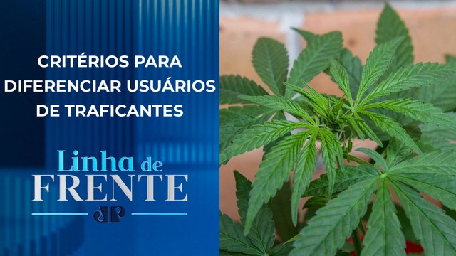 STF retoma julgamento do porte de maconha nesta terça-feira (25) | LINHA DE FRENTE
