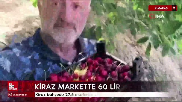 Kahramanmaraş'ta üretilen kiraz bahçede 27.5 markette 60 lira