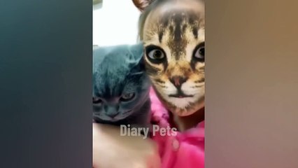 y2meta.com-Funniest Animals 2024 ���� New Funny Cats and Dogs Videos ���� Part-(1080p) (1)