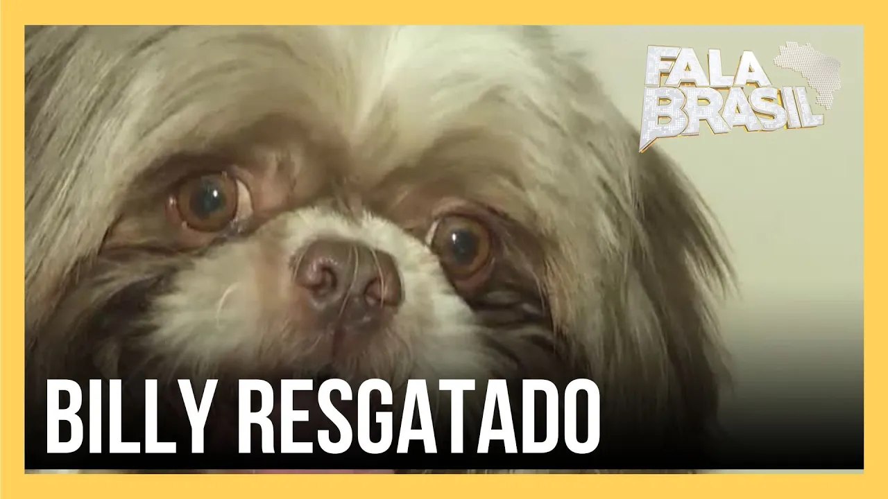 Reencontro: cachorro furtado é devolvido à tutora em São Paulo