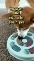 Interactive Feeding and Education Toy for Dogs and Cats | Dog Feeding | Cat Feeding | Pet Education