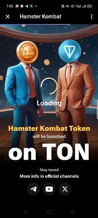 Hamster working progress