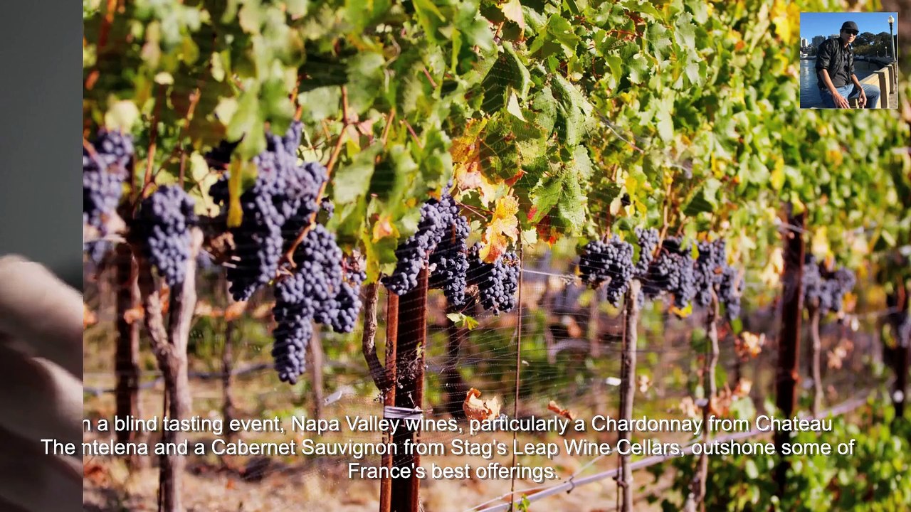 Napa Valley as a Winery Hub-Learning English through Listening