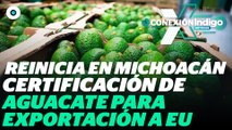 EU reanuda la certificación de aguacate y mango de Michoacán | Reporte Indigo