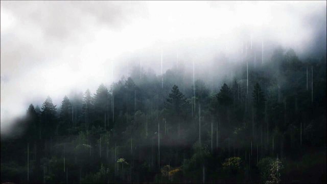 Relaxing Music & Rain Sounds - Raining in Deep Forest, Relaxing music and rain sounds.