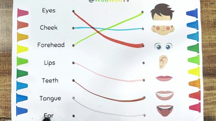 Videos for Kids | Body parts learning | kids learning videos | learn body parts | #bodyparts #abcd