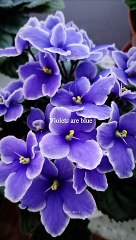 Trying to upload until I get success