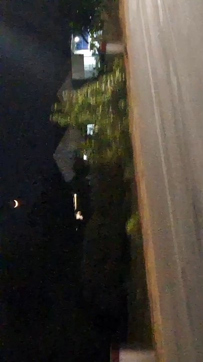 Peto đi đâu cũng có trời sao chạy theo | Peto thấy sao cầm máy quay video sẽ ra như vậy