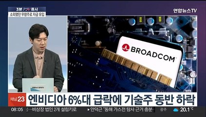 [3분증시] 뉴욕증시, 엔비디아 급락 속 사흘째 혼조 外