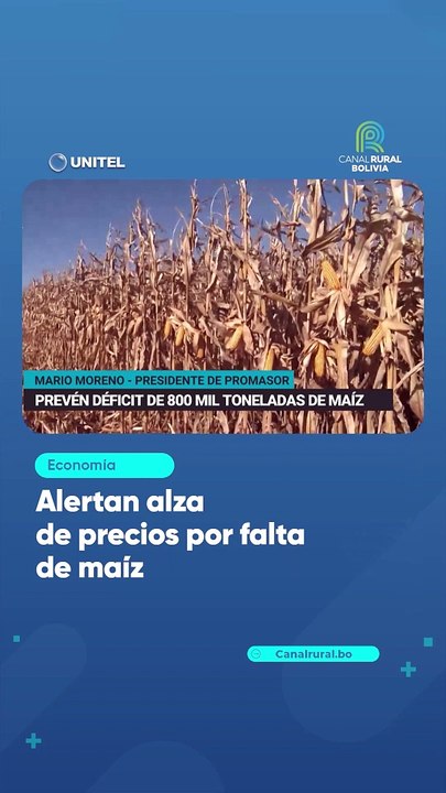 Alertan alza de precios por falta de maíz