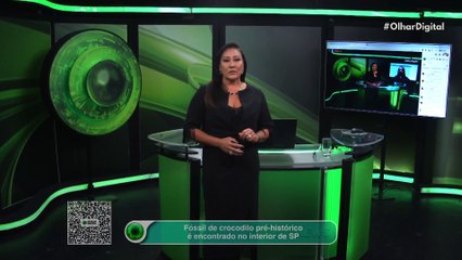 Fóssil de crocodilo pré-histórico é encontrado no interior de SP