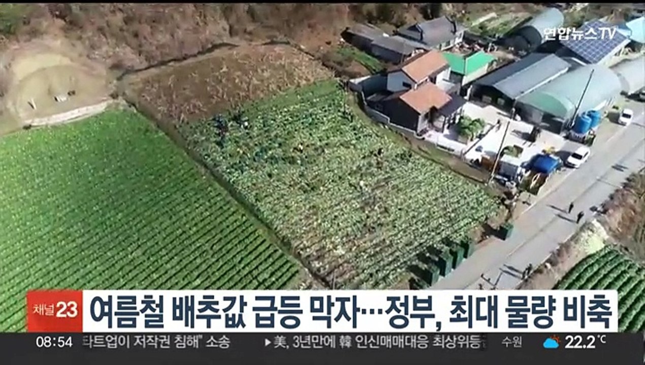 여름철 배춧값 급등 막자…정부, 최대 물량 비축
