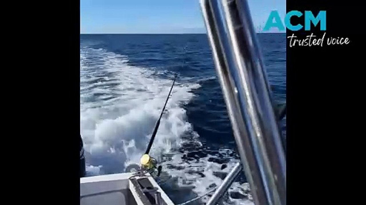 Brandon Cole's big catch - June 25, 2024 - The...
