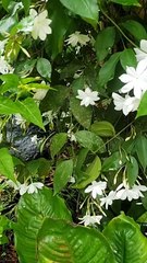 If you see it in the morning, see if your heart is full