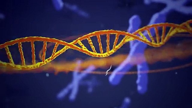 Éditer l’ADN : les « ciseaux moléculaires » Crispr-Cas9