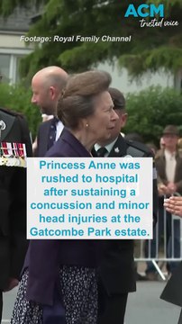Princess Royal in hospital with concussion, head injuries